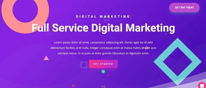 Divi-theme-and-visual-builder